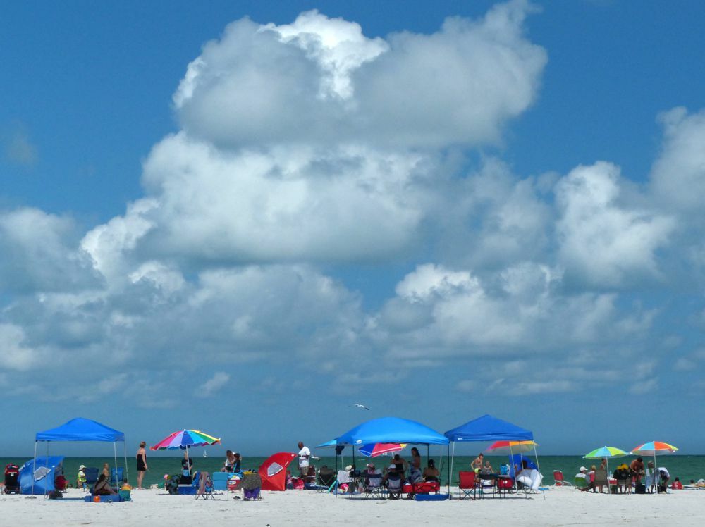 Click to See Next Image